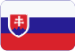 BellNet Czech s.r.o. Slovensky